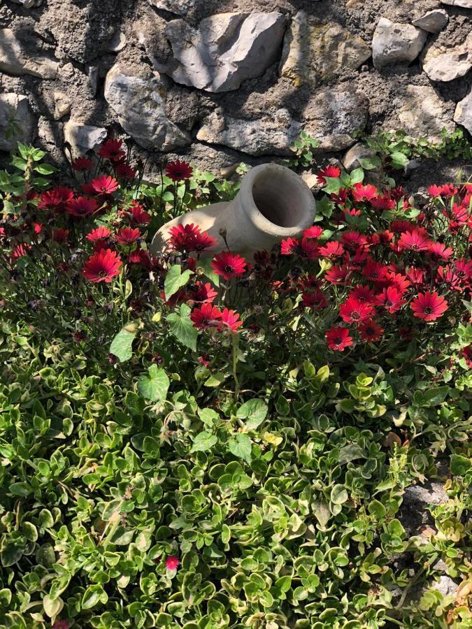 Villa Johnny And Mary'S House Breathtaking View Taormina Eksteriør billede